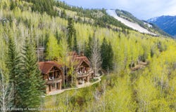 56 Five Trees Lane, Aspen, CO 81611