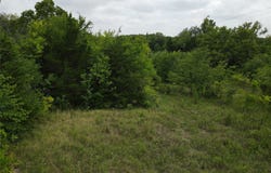 County Road 4245, Bonham, TX 75418