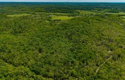 000 Private Rd, Drury, MO 65638