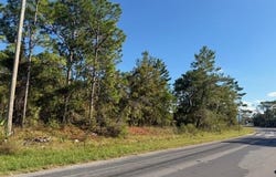 Lamson Avenue, Spring Hill, FL 34608