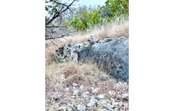 424 Armadillo Trail Dr E, Center Point, TX 78013