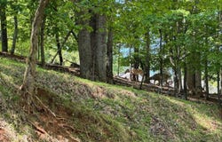 Lakecrest Dr, Hardy, VA 24101