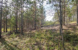 2 Crosscut Way, Davis, WV 26260
