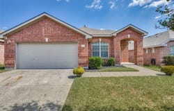 1617 Black Maple Drive, Anna, TX 75409