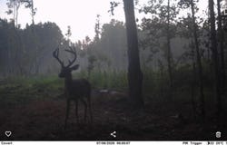 Aloha Dr., Marion, SC 29571