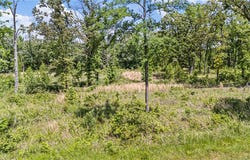 Galaxy Lane lot: 13 & Lot 14, London, AR 72847