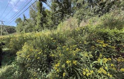 E Mud River Road, Milton, WV 25541