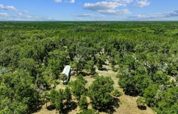 504 NW Roys Rd, Steinhatchee, FL 32359