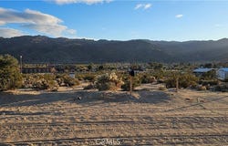 Nicolson, 29 Palms, CA 92277