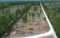 2 Pecan Grove, Holly Hill, SC 29059