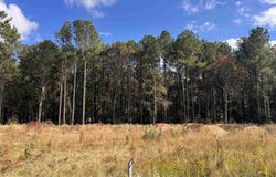 207 CR 2204, Tatum, TX 75691