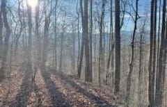 528 Early Dietz, Sylva, NC 28779