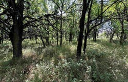 251 Z50 Road, Fall River, KS 67047