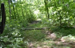 7.50ac Beauchamp Rd, Burkesville, KY 42717