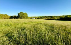 1779 NC 1600, Compton, AR 72624