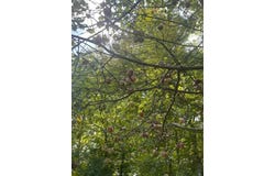 2002 State Route 67, Valley Falls, NY 12185