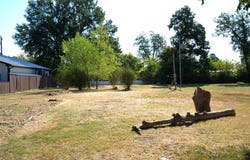 130 N Cedar, Blossom, TX 75416