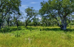 623 Whiskey Trl, Blanco, TX 78606
