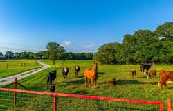 141 County Road 4793, Boyd, TX 76023