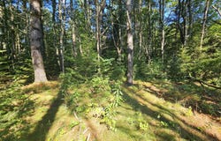 105-26 Back Eighty Road, Boothbay, ME 04537