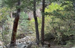 555 Riverside Dr, Lyons, CO 80540