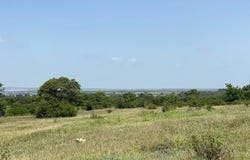 130 CR 242, Indian Gap, TX 76531