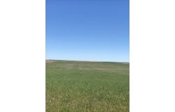 County Road 85, Dalton, NE 69131
