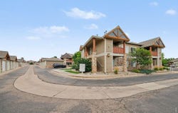 126 Beacon Way, Windsor, CO 80550