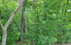 River Ridge Road, Columbia, SC 29210