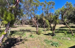 38295 Indian Road, Anza, CA 92539