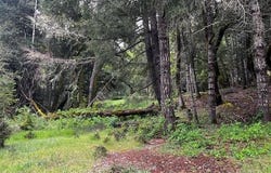 24403 Cypress Drive, Willits, CA 95490