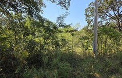 E Abbott Road, Schell City, MO 64783
