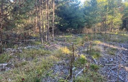 Flagg Mill Road, Naples, ME 04055