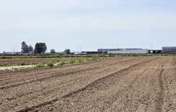 Denver Rd, Fruitland, ID 83619