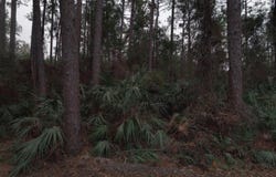 983 BRUEN ST, ST AUGUSTINE, FL 32084