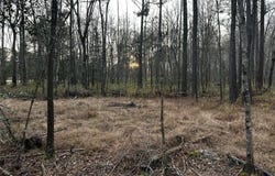1.58AC General Thomas Highway, Newsoms, VA 23874
