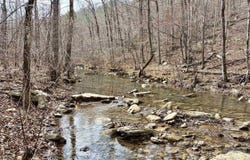 Watson Rd, Clinton, AR 72031