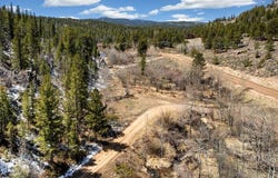38 Ada Ct, Red Feather Lakes, CO 80545