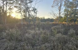 241 NW Darwin Loop, Madison, FL 32340
