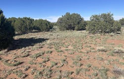 37 Frontage Road, Concho, AZ 85924