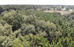 Old Buckhead Road, Bamberg, SC 29003