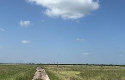 BOSQUE AVE, LOS FRESNOS, TX 78566