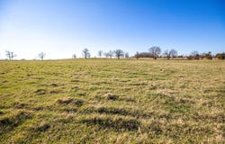 Oak Grove, AR 72660