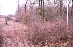 Piney Road, Clarion, PA 16214