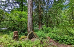 61875 E JETTVIEW Ln, Brightwood, OR 97011