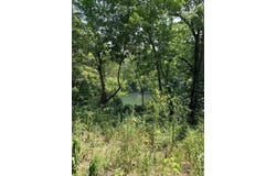 104 Adams Drive, Pangburn, AR 72121
