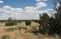 985 Ellsworth Drive, Heber, AZ 85928