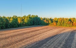 0 Hillsdale Ave, Lima, OH 45807