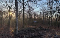 808 Coyote Trail, Pocahontas, AR 72455