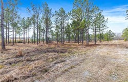 0 Conway Rosteet Road, Ragley, LA 70657